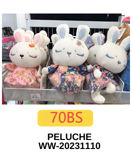 PELUCHE WW-20231110