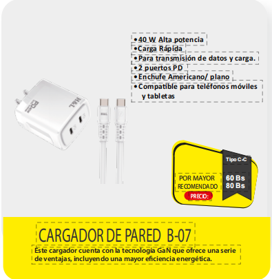 CARGADOR DE PARED B07