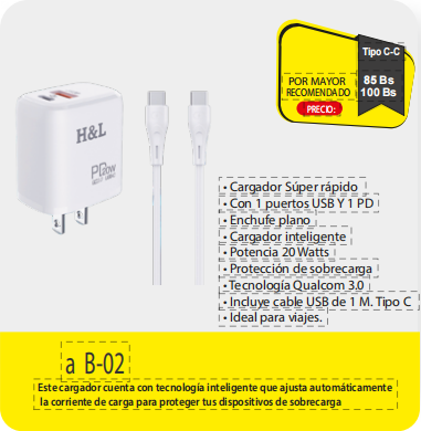 CARGADOR DE PARED B02