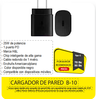 CARGADOR DE PARED B10