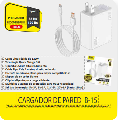 CARGADOR DE PARED B15