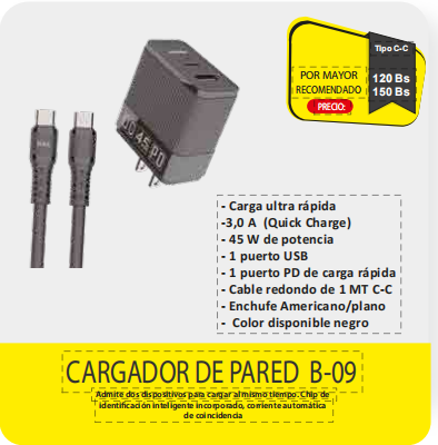 CARGADOR DE PARED B09
