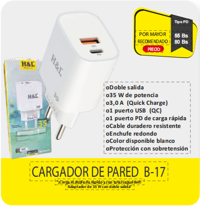 CARGADOR DE PARED B17