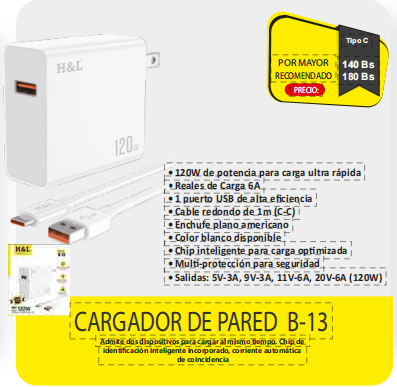 CARGADOR DE PARED B13