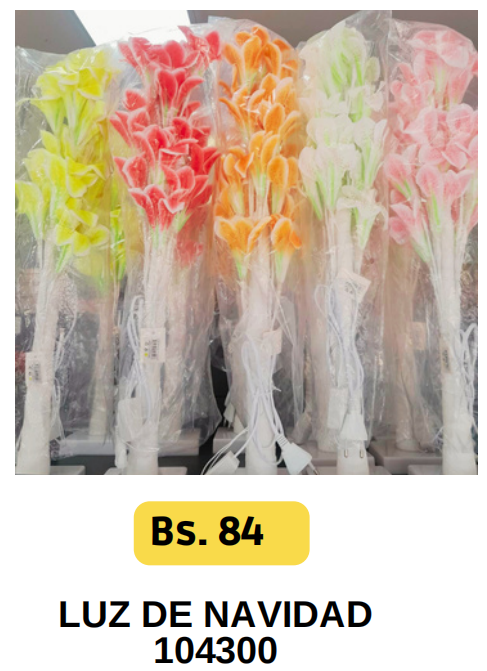 LUZ DE NAVIDEAD-104300
