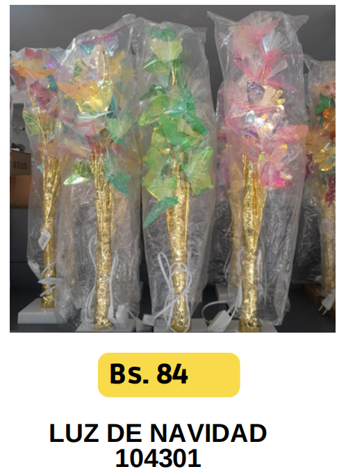 LUZ DE NAVIDEAD-104301